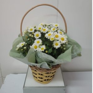 Cestinha com Margaridinha